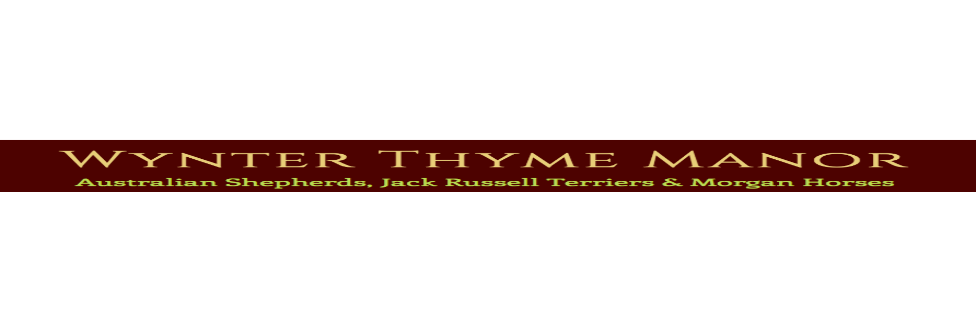 Wynter Thyme Manor - Morgan Horses 4th Gen: Lessons, Boarding, Training and Sales
