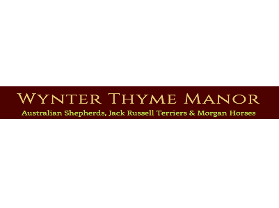 Wynter Thyme Manor - Morgan Horses 4th Gen: Lessons, Boarding, Training and Sales