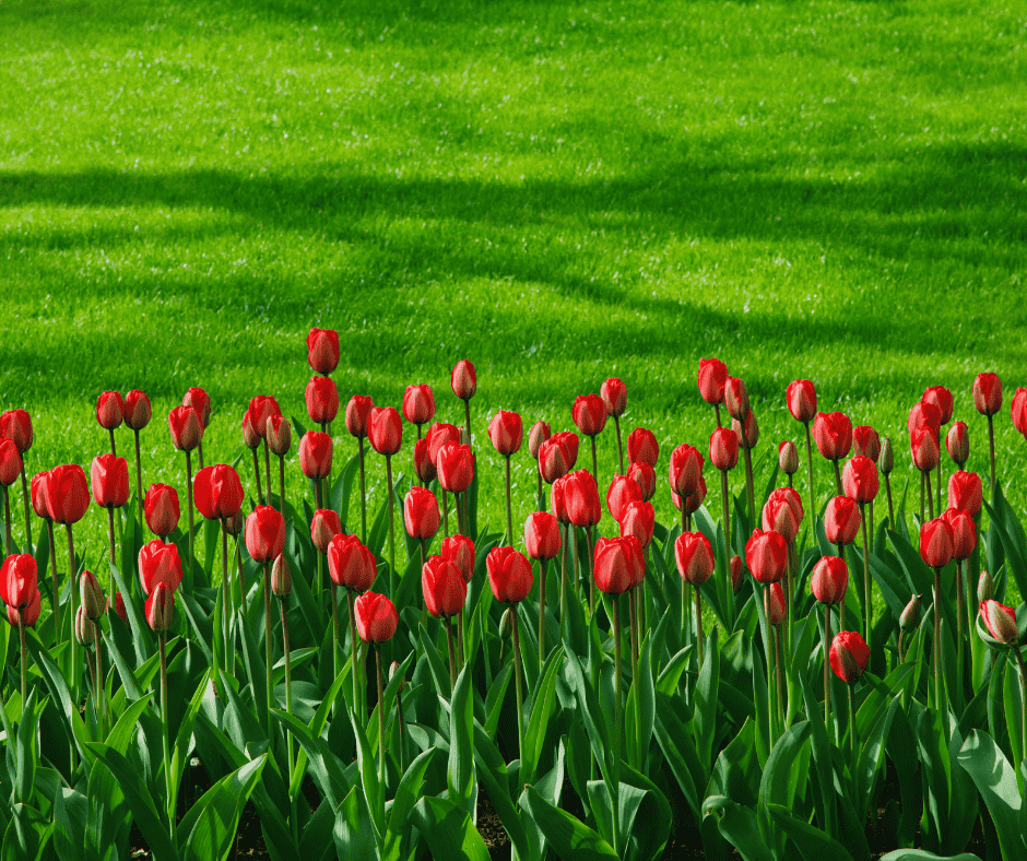 Why Hard Water Buildup is the Leading Cause of Sandy AC Drain Clogs