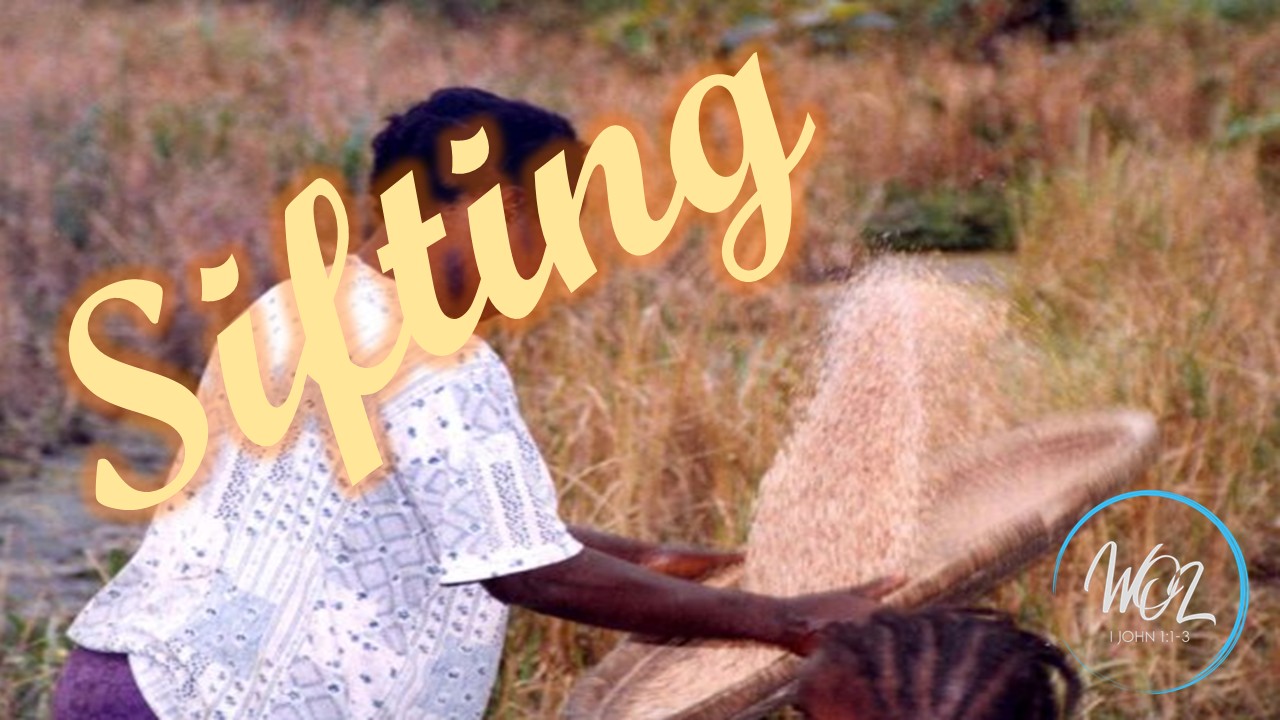 The Cycle of Growth: Sifting Cover