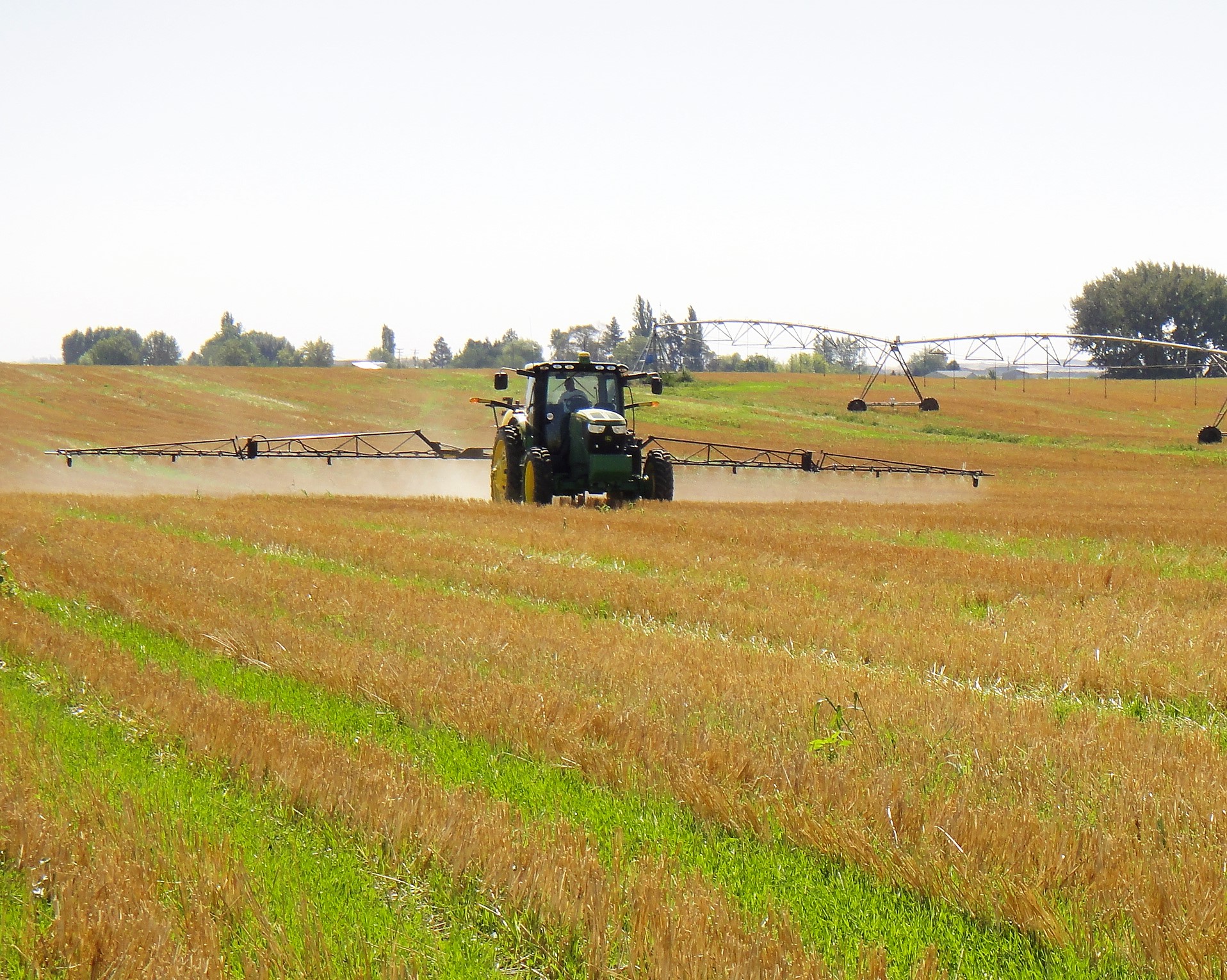 Comparing effects of herbicides, fertilizers, and tillage on the soil