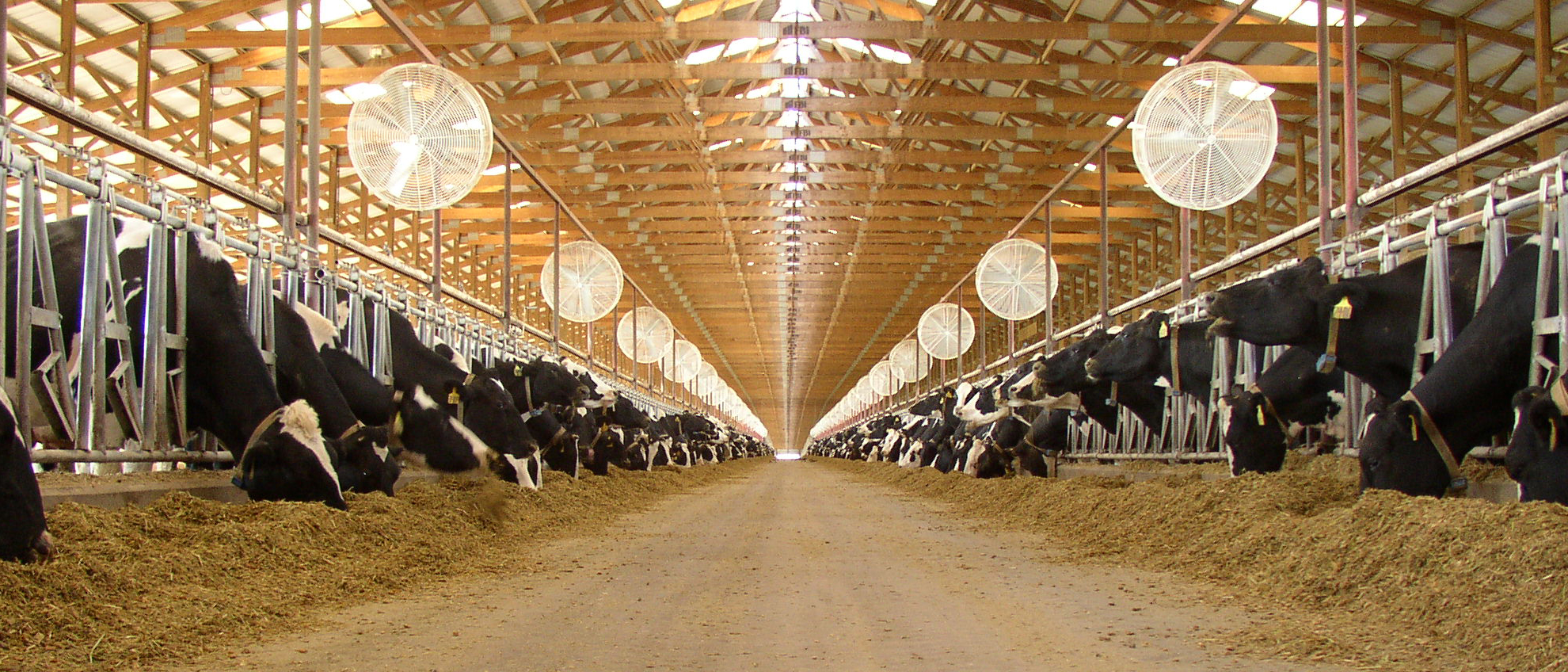 New publication tackles approaches to nutrient recovery from dairy