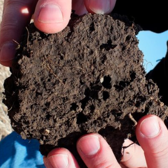 Soil clod