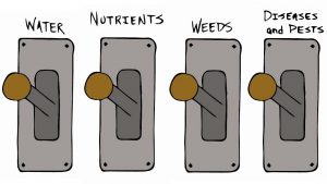 hand drawn picture of levers with labels