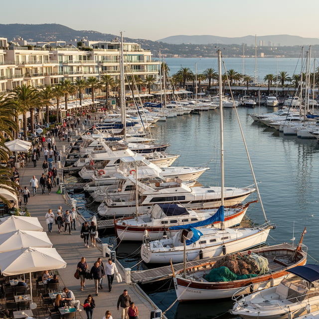 Marina Management Image