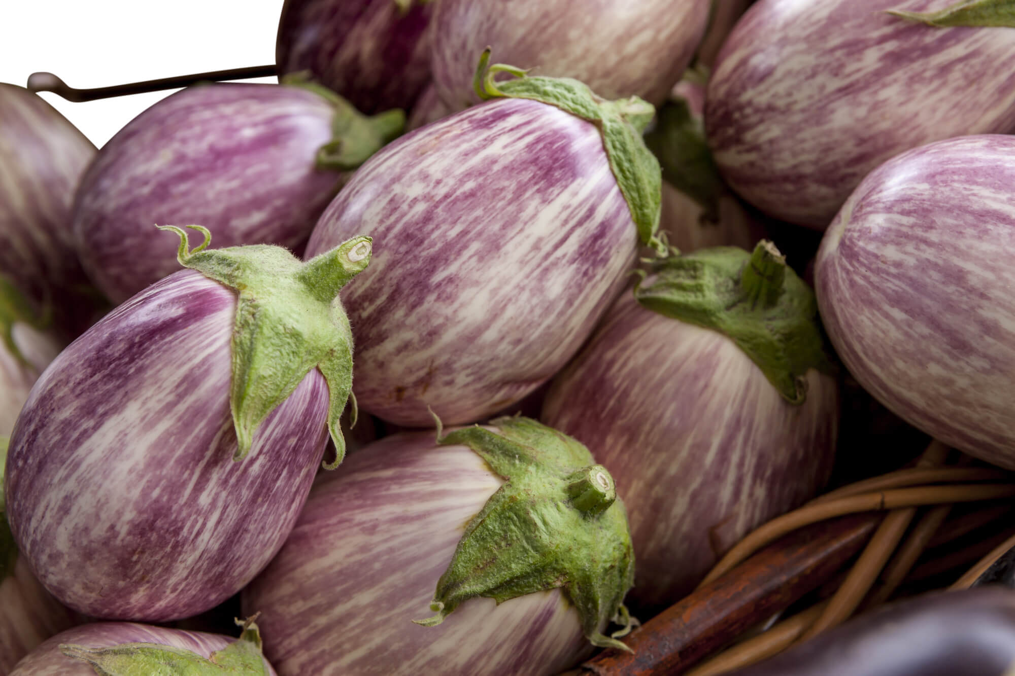 Graffiti Eggplants