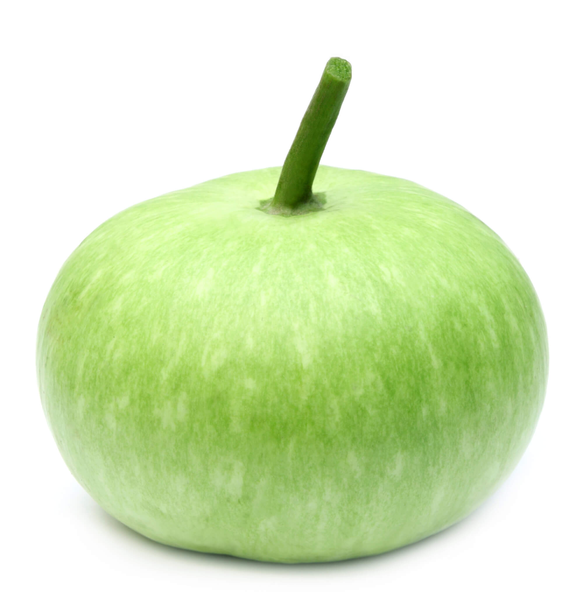 Indian Opo - Dudhi - Lauki - Bottle Gourd