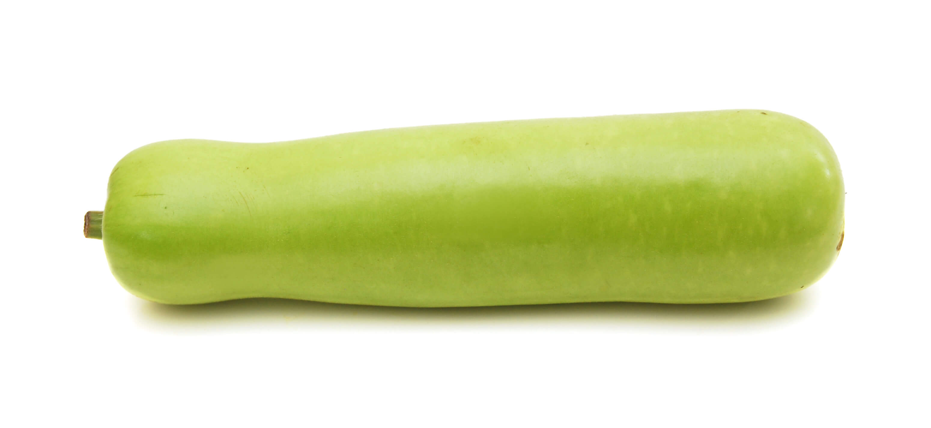Opo - Dudhi - Lauki - Bottle Gourd