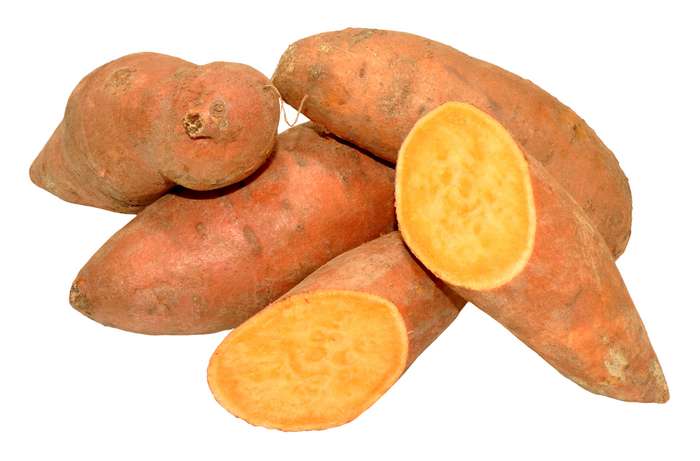 Jewel Garnett Yams Sweet Potatoes