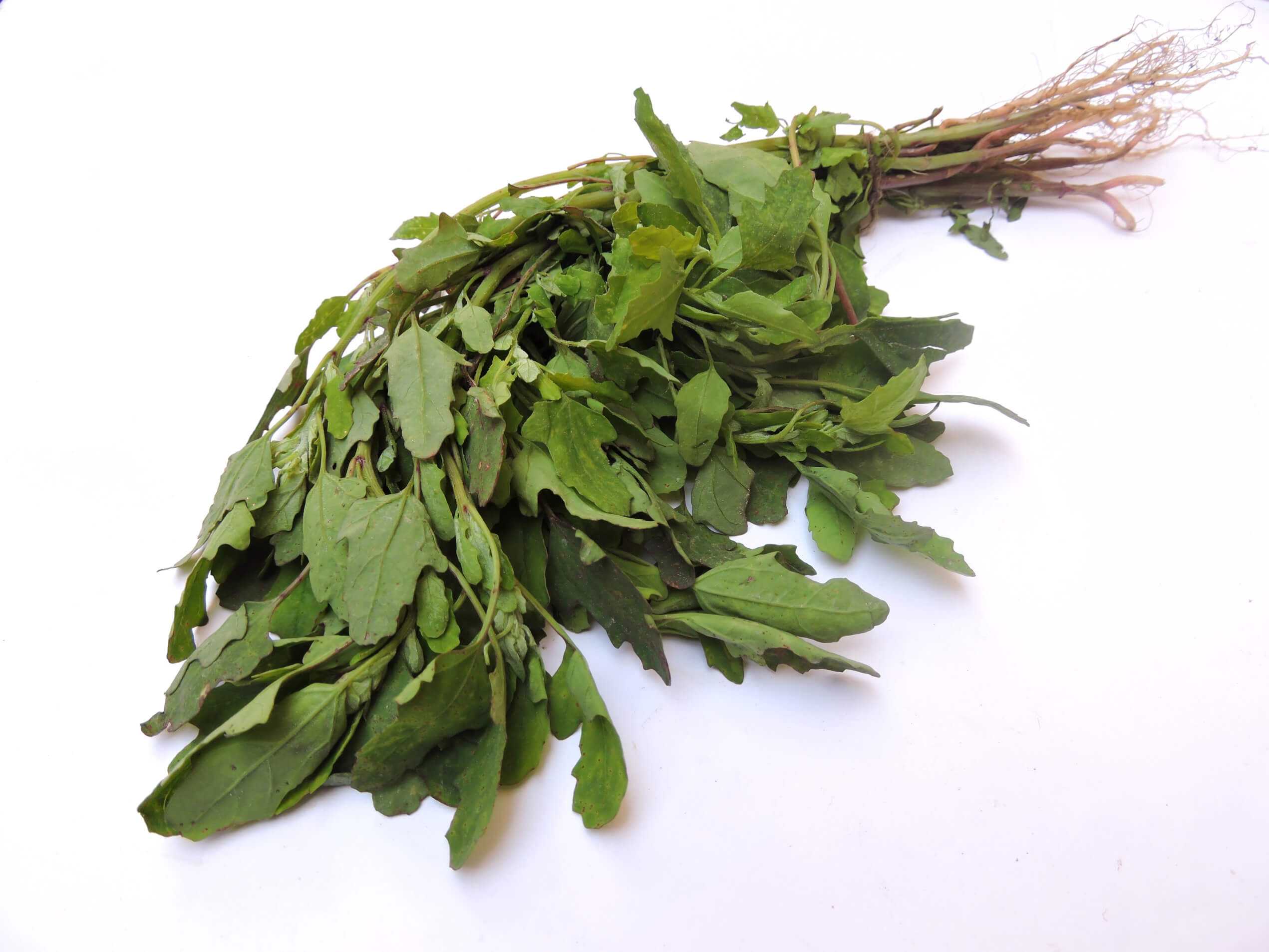 Bathua Leaves (Wild Spinach)