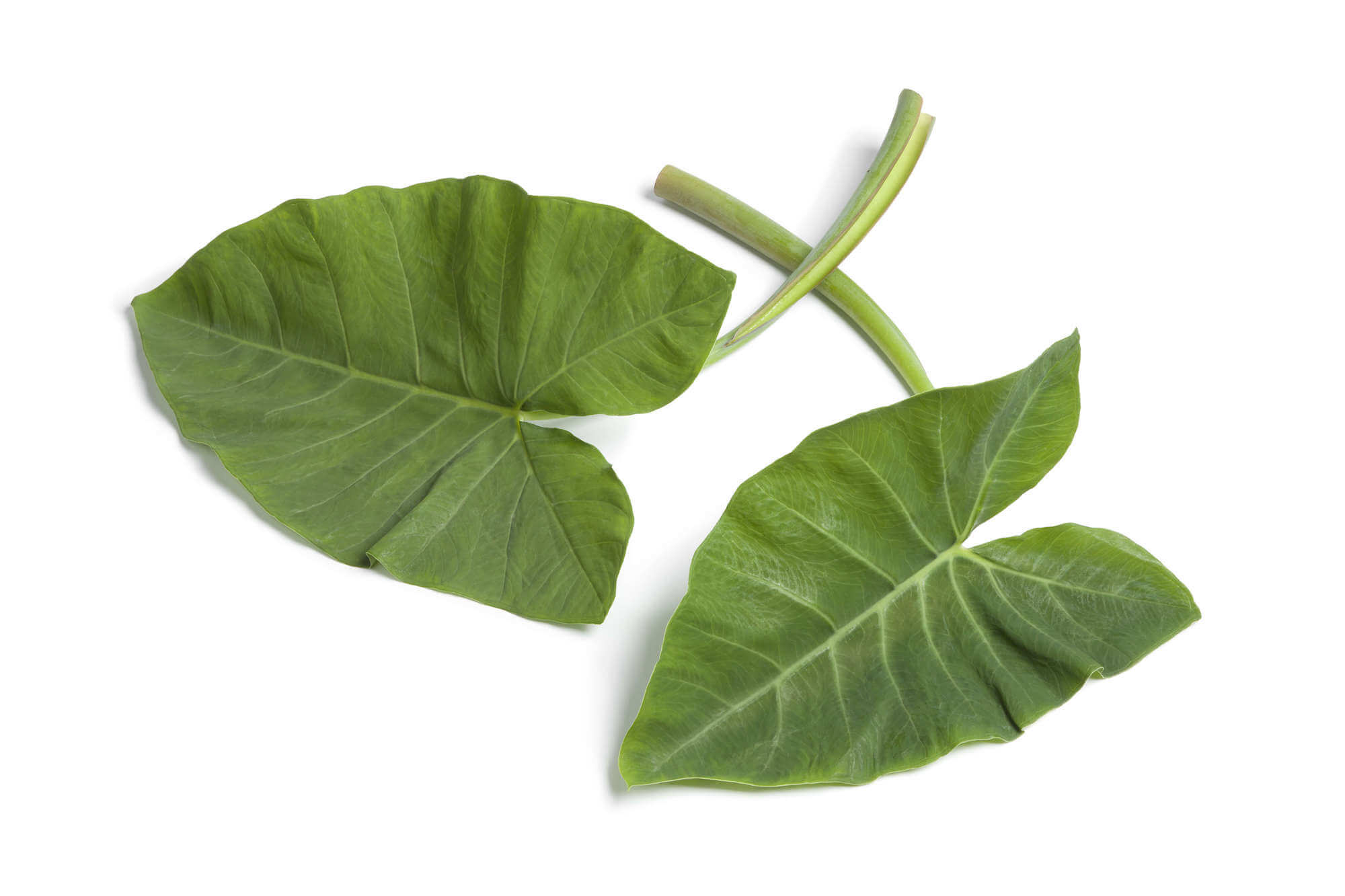 Taro Leaves (Alu/Patra/Arbi/Arvi)