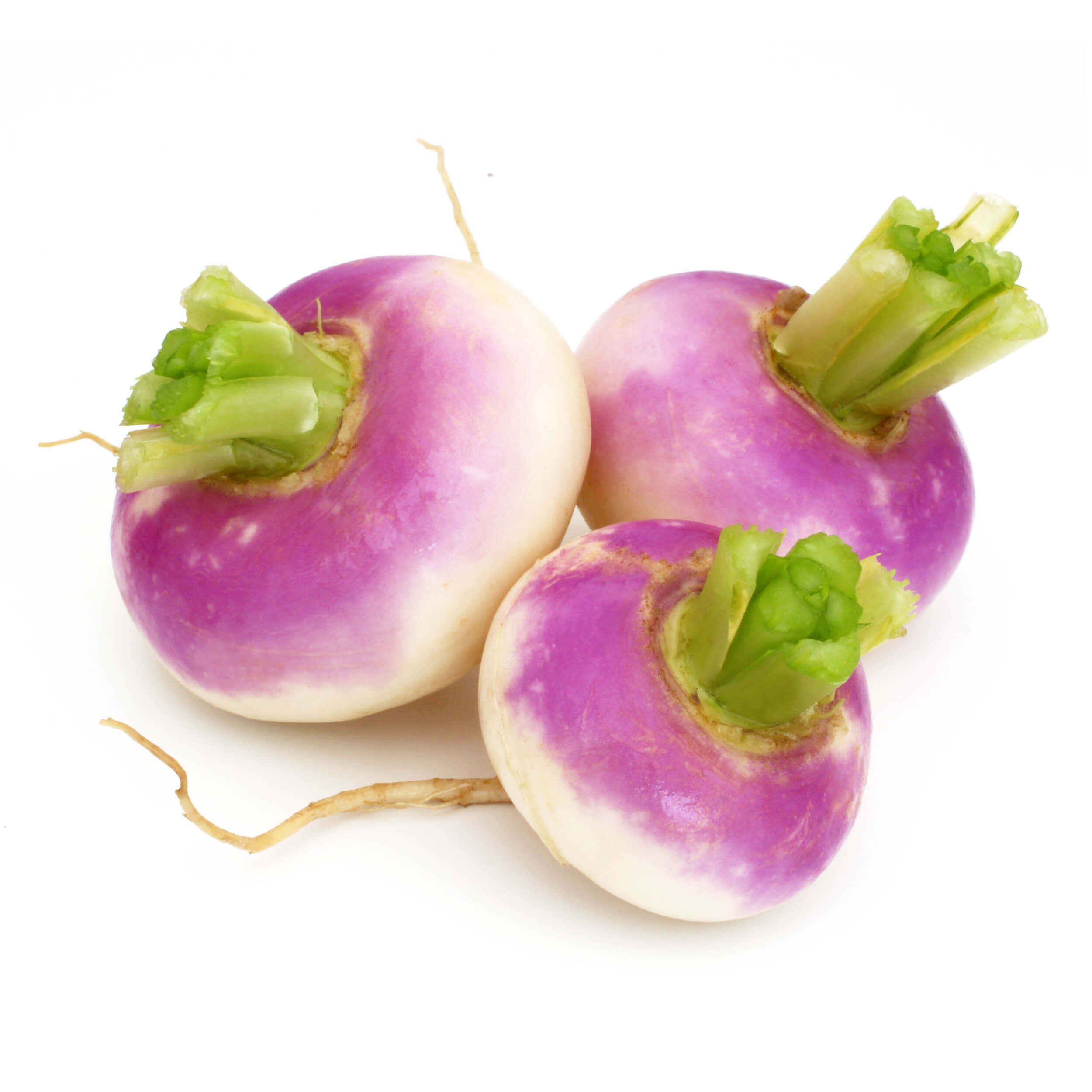 Purple Top Turnips