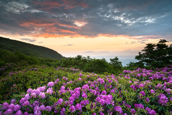 Blue Ridge Parkway Mountains-North Carolina
