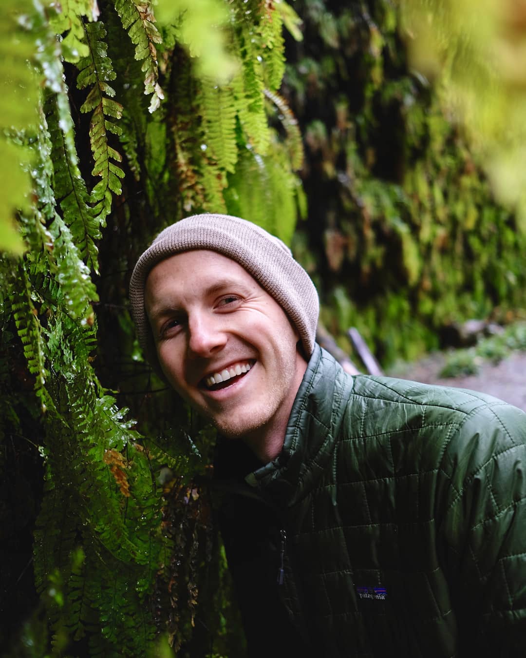 van life-fern canyon-california-prarie creek redwoods state park