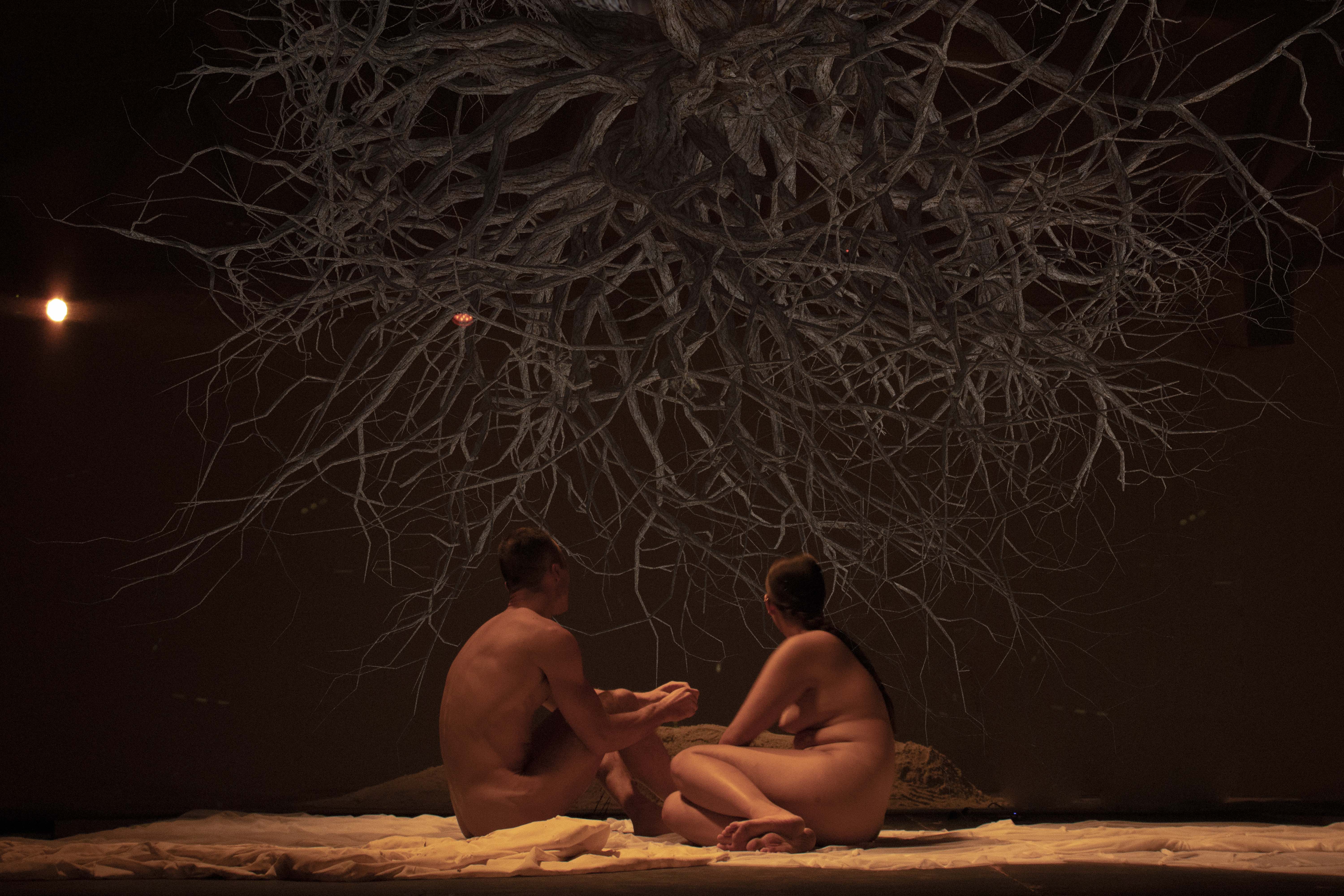 Image: Bruno Cornejo + Oswaldo Erréve