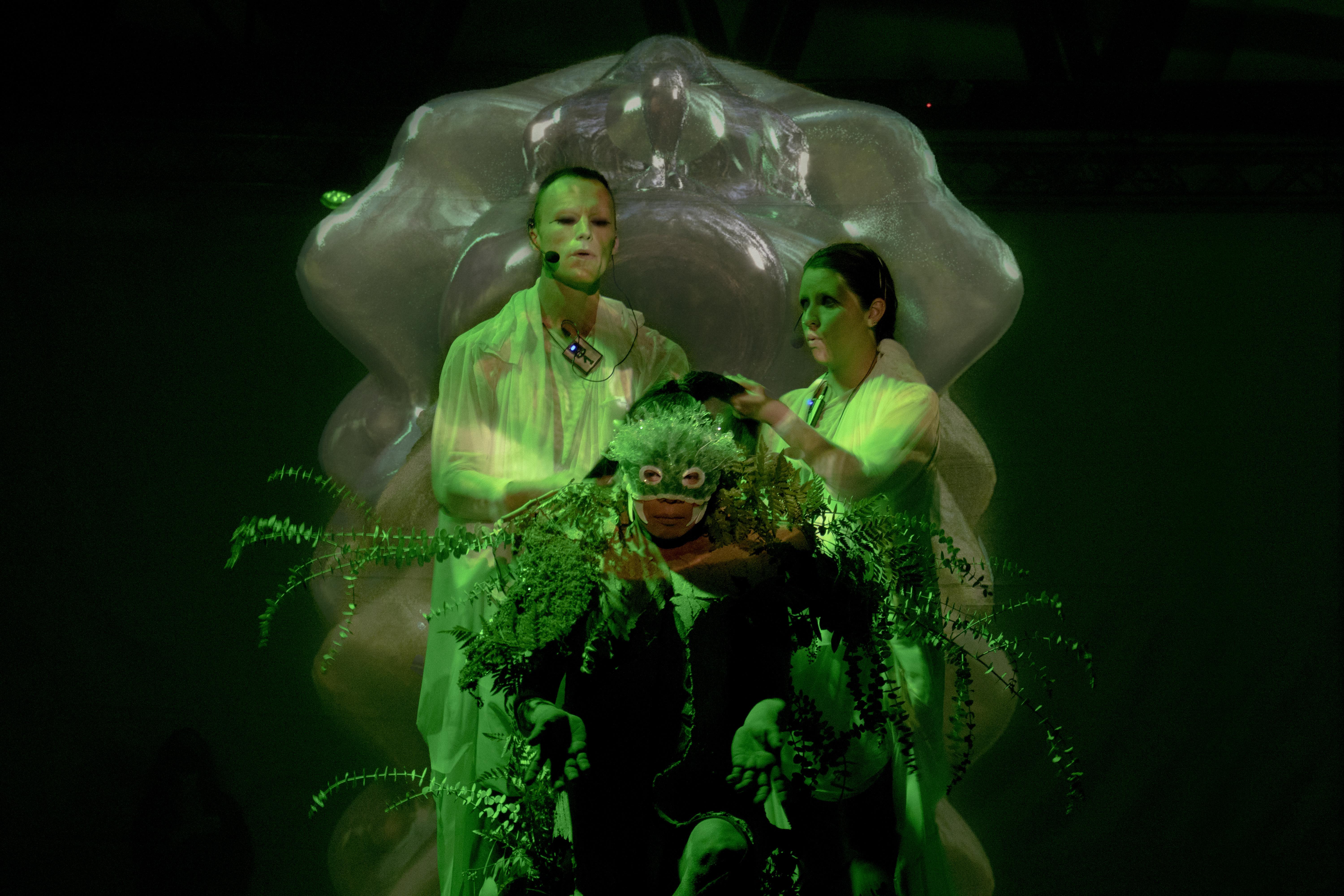 Image: Bruno Cornejo + Oswaldo Erréve