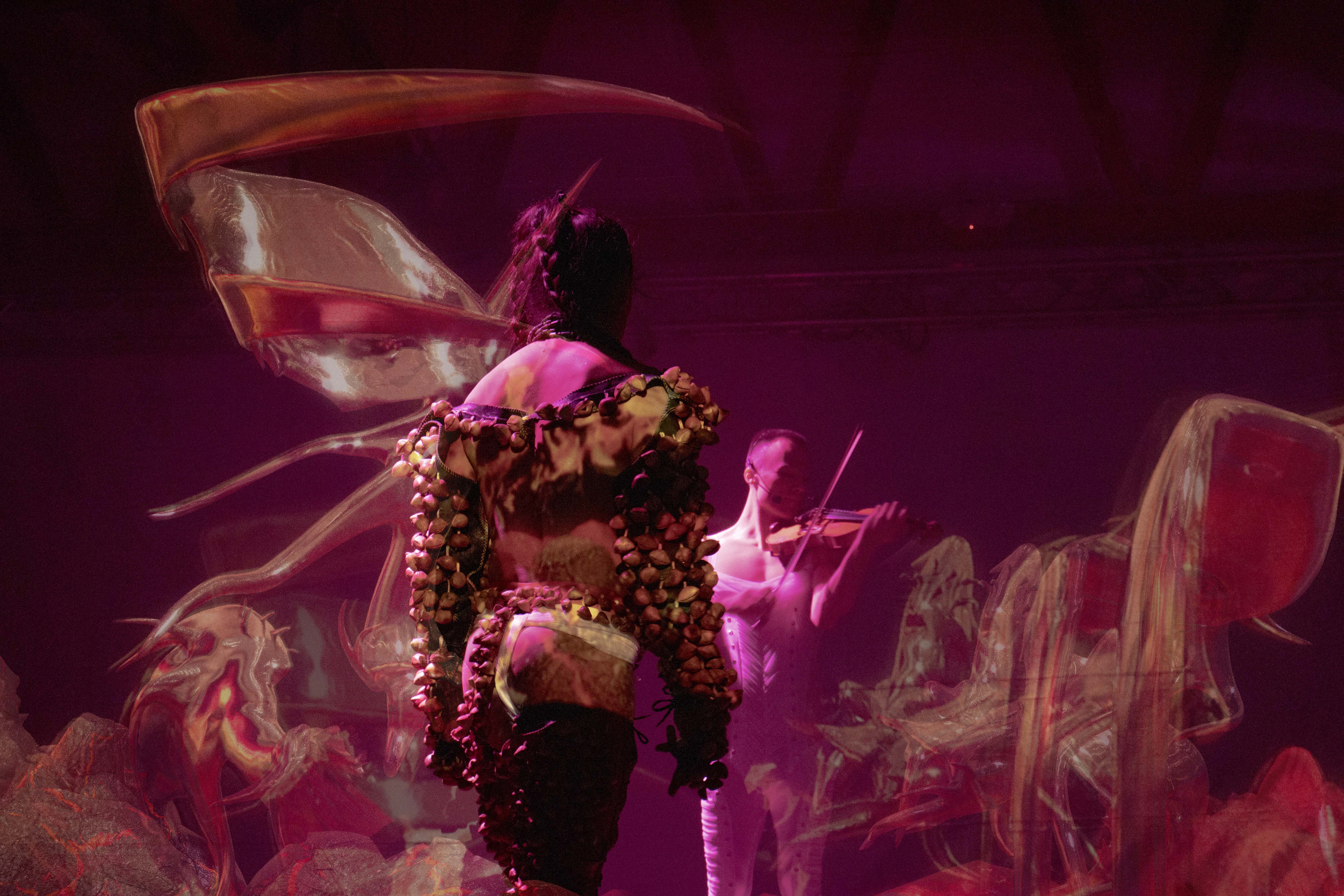 Image: Bruno Cornejo + Oswaldo Erréve