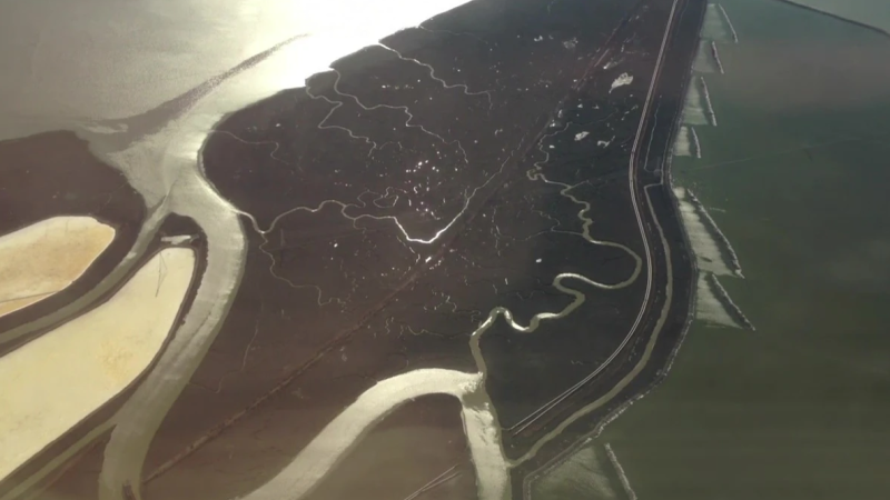 Still from Zheng Chongbin's Branches Are Roots In the Sky courtesy of the artist.