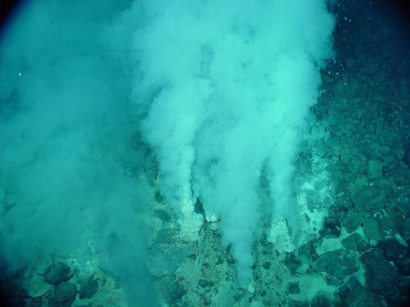 Champagne vent, Northwest Eifuku volcano, Marianas Trench Marine National Monument