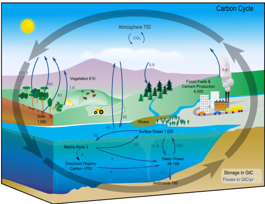 540px-Carbon_cycle-cute_diagram.png