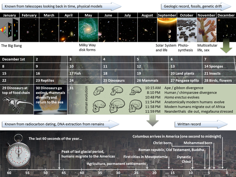 Cosmic_Calendar.png
