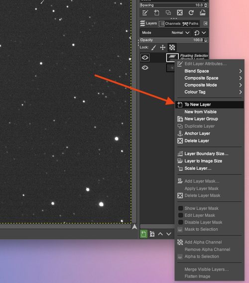 The Gimp paste layer