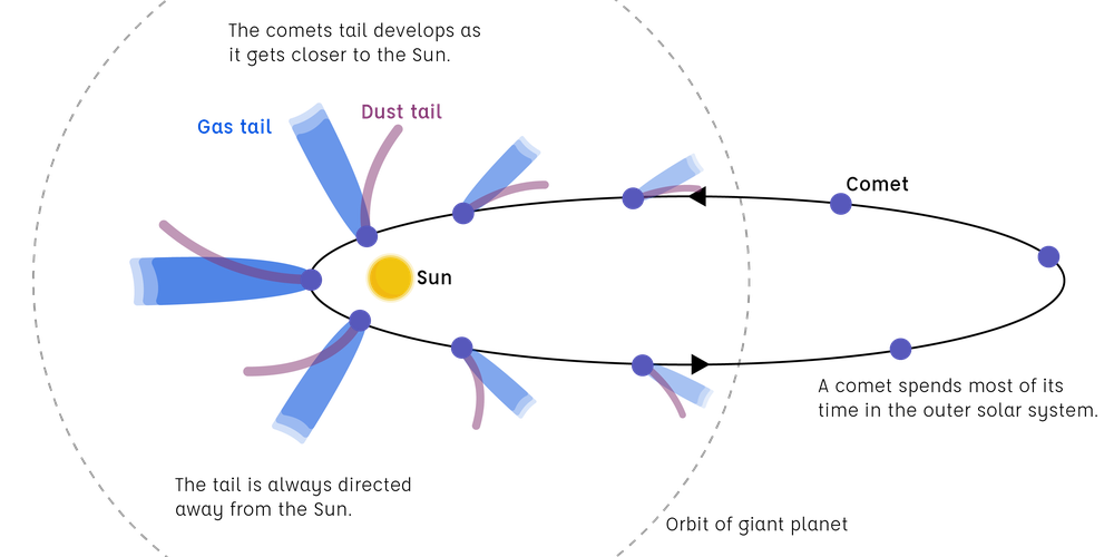 Diagram showing a comet's path around the Sun and how the tail develops as it gets closer to the Sun. The tail is always directed away from the Sun. Most of the time the comet is in the outer solar system.