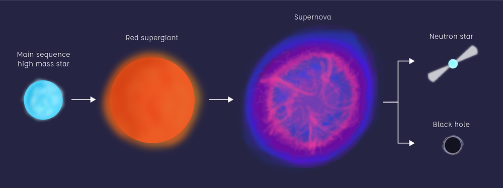 Lifecycle of a high mass star