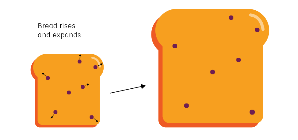 The expansion of the Universe - bread loaf rising analogy