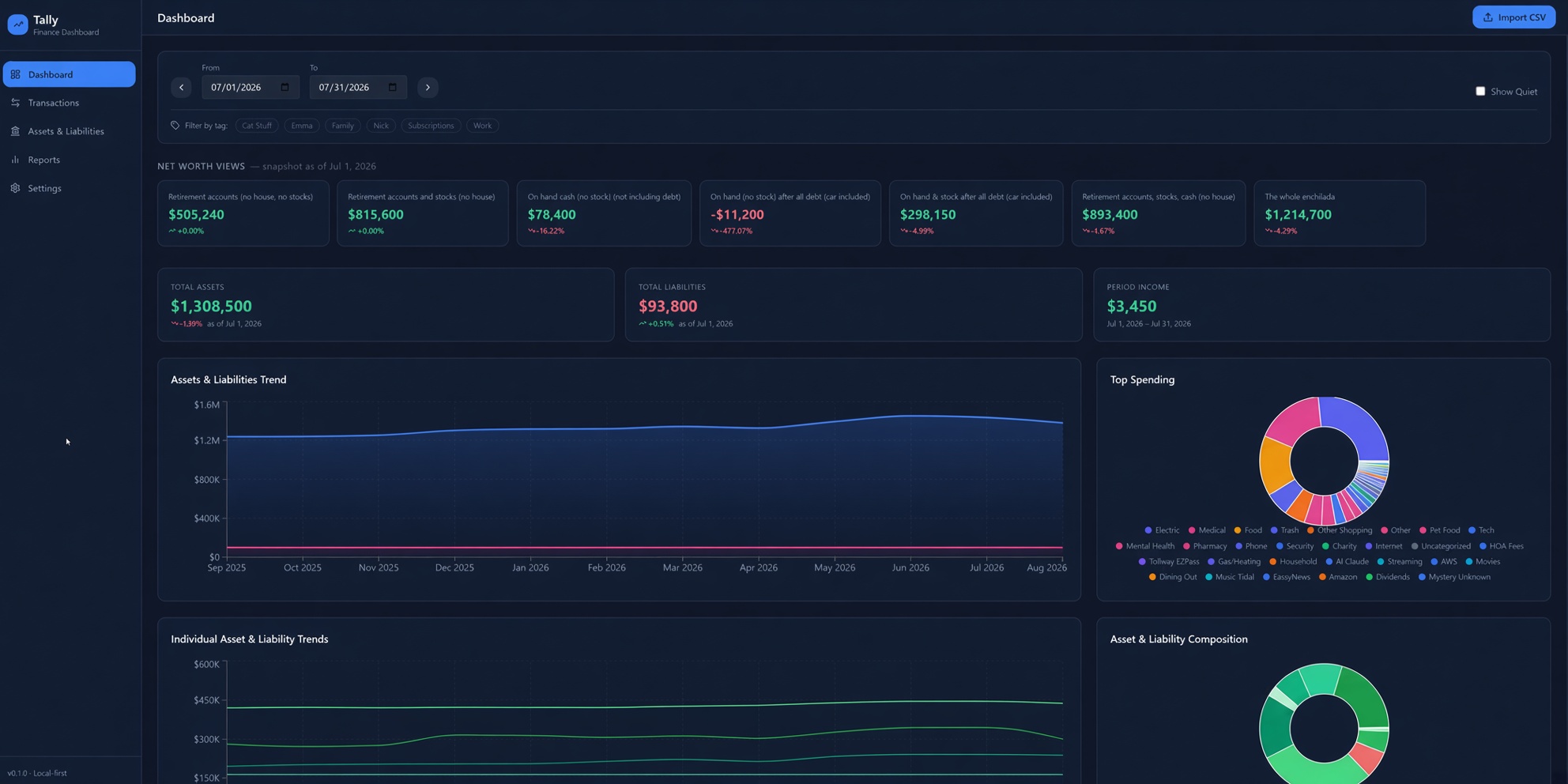 Tally Dashboard with net worth views (Sanitized Data)