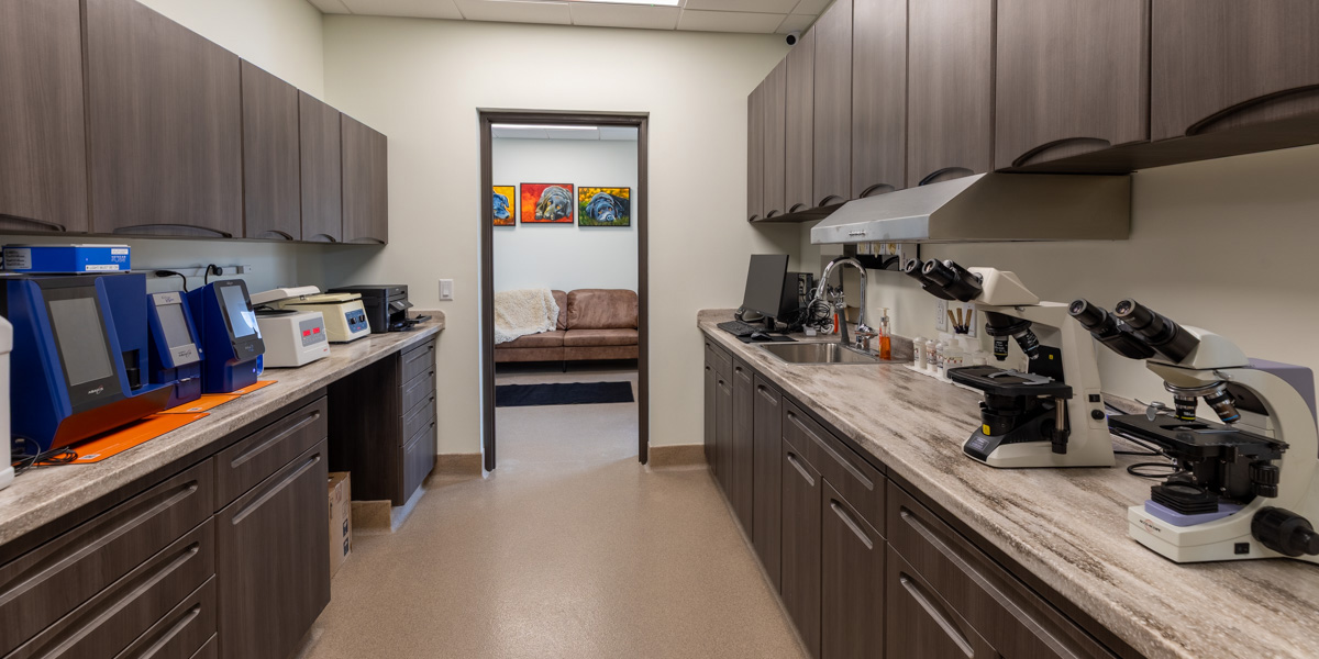 Room with Microscopes