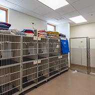 Some of the Comfortable Enclosures