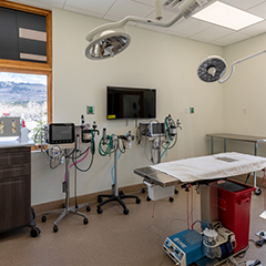 Surgery Suite